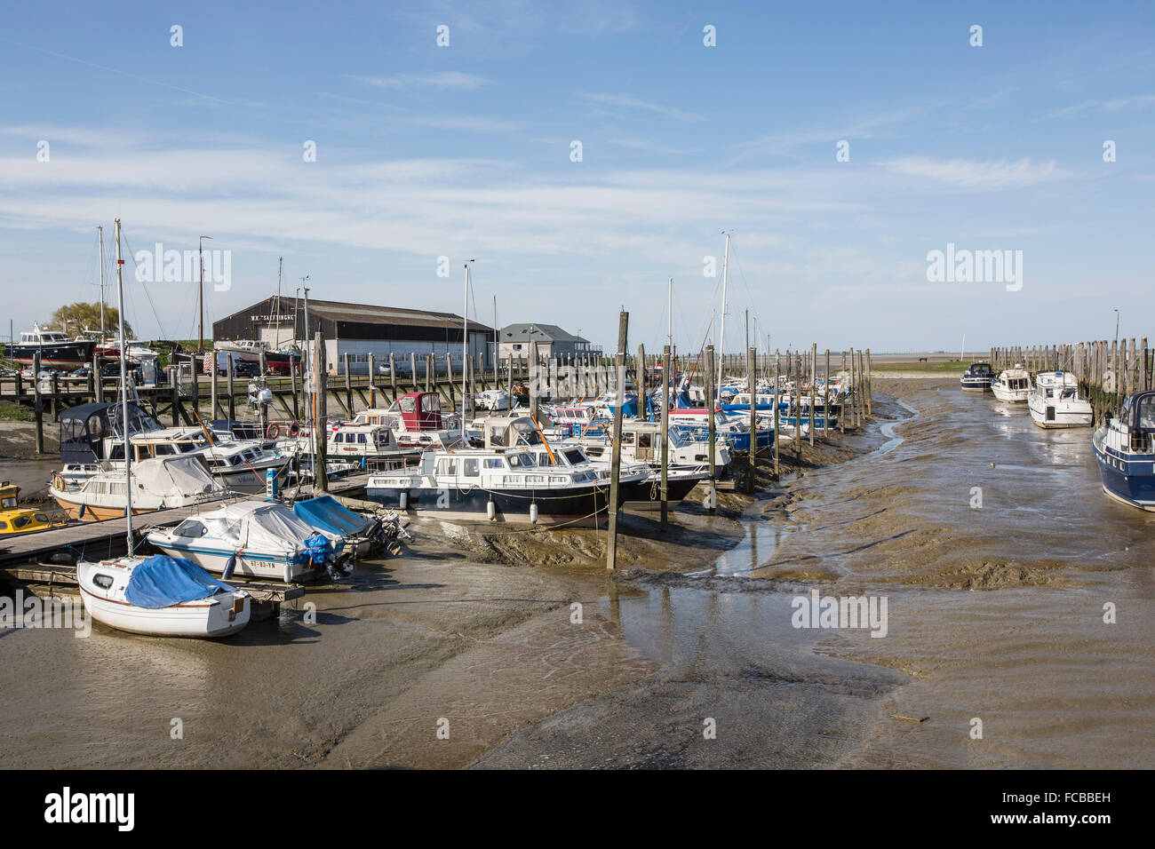 Netherlands, Paal, Westerschelde river. Tidal marshland. Marina at low tide Stock Photo