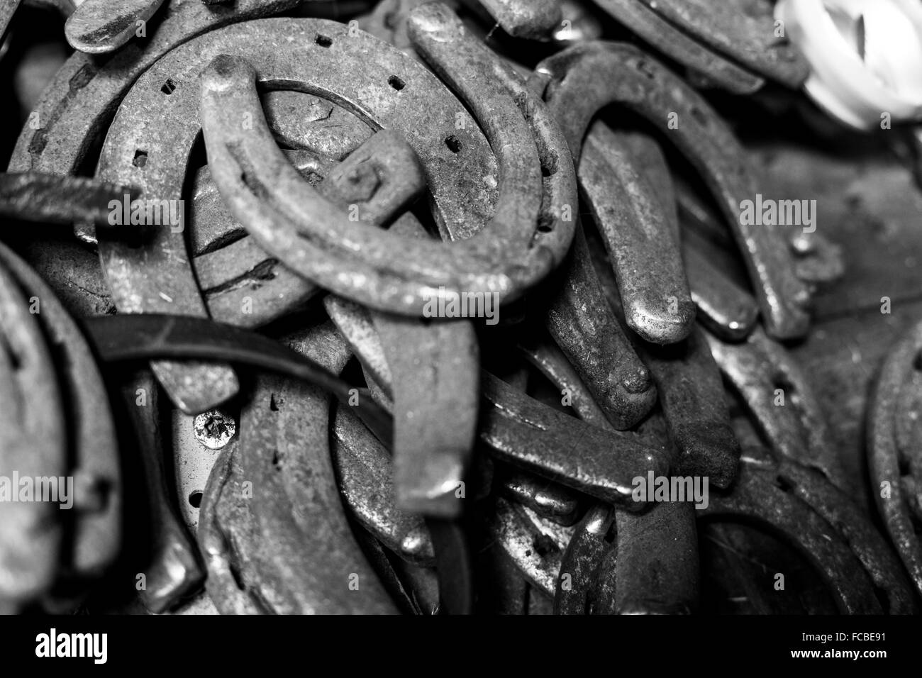 A pile of horse shoes. Stock Photo