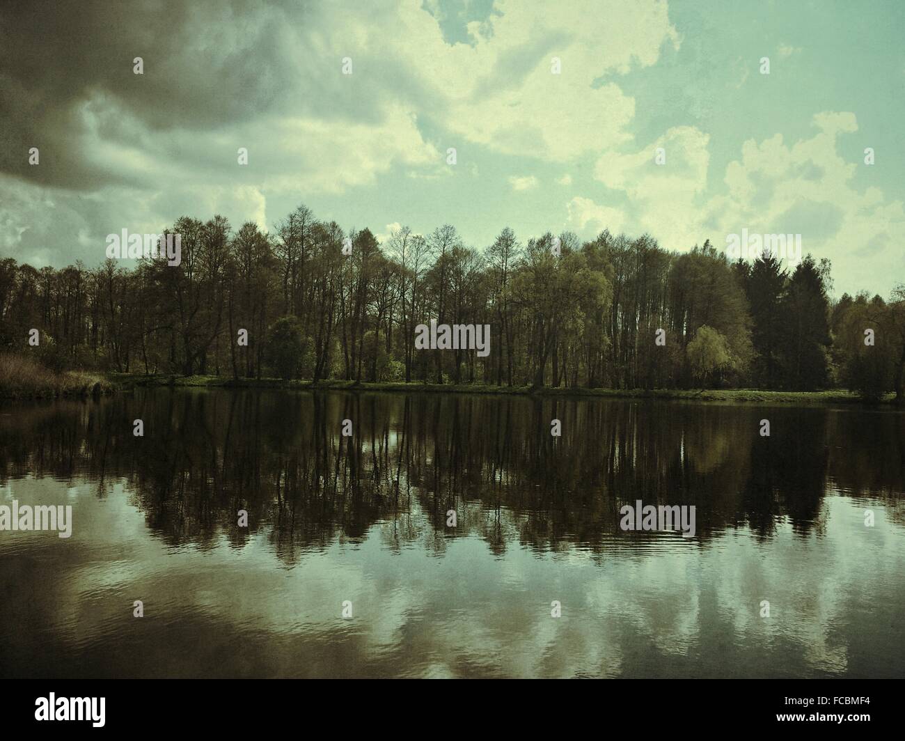 Trees in water hi-res stock photography and images - Alamy