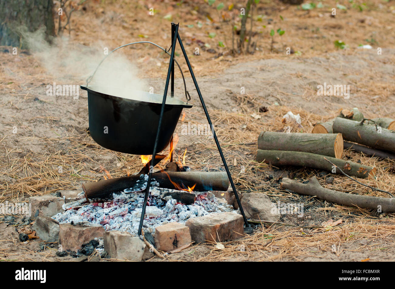 https://c8.alamy.com/comp/FCBMXR/cooking-porridge-in-black-pot-on-the-fire-in-forest-FCBMXR.jpg
