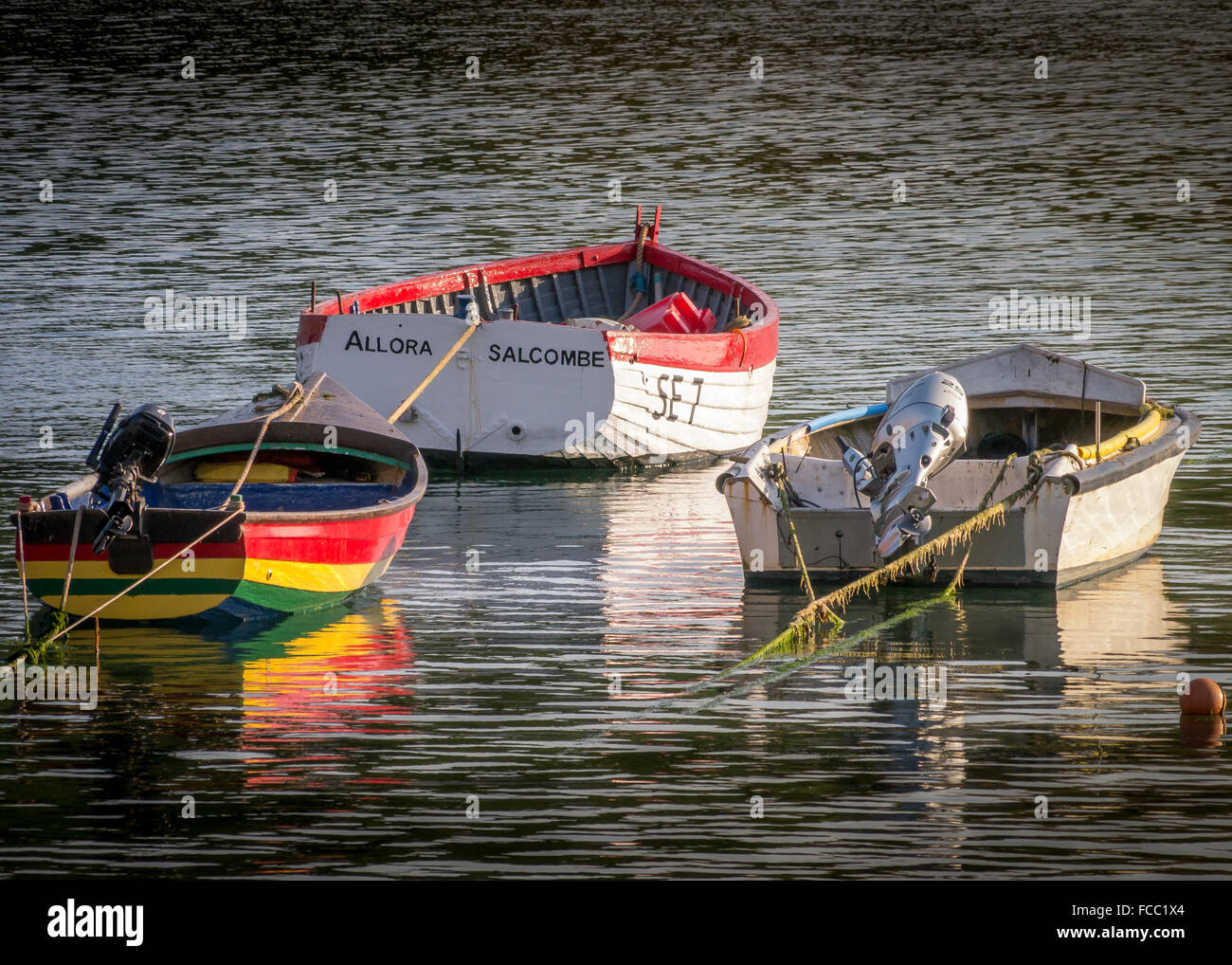 boats moored in the harbour at hope cove,devon Stock Photo