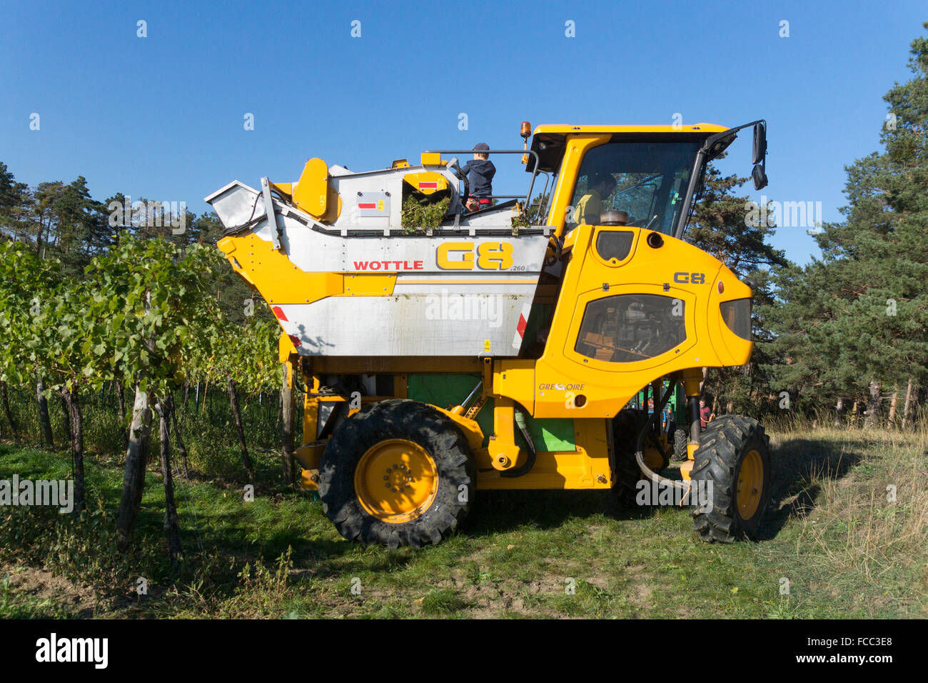 Grape harvesting machine hi-res stock photography and images - Alamy