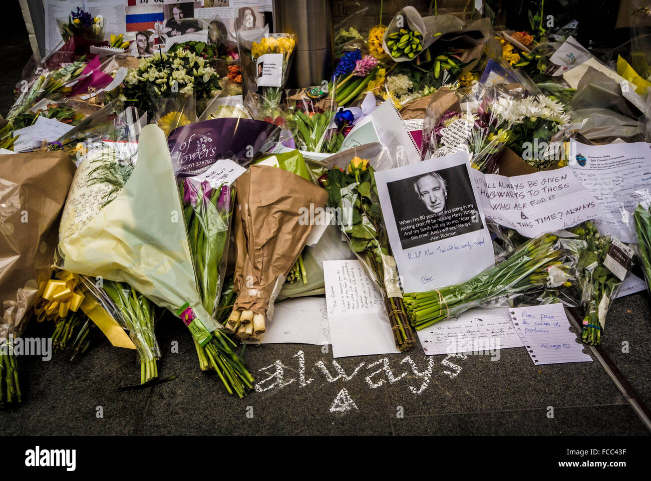 London, UK. 21st January, 2016. Tributes to actor Alan Rickman at Kings Cross Station. 'Platform 9 3/4', which features in the Harry Potter films, is a tourist attraction at the station. Fans of the actor, who played the part of Professor Snape and died on January 14th 2016, are continuing to leave cards and flowers in remembrance.  Photo Bailey-Cooper Photography/Alamy Live News Stock Photo