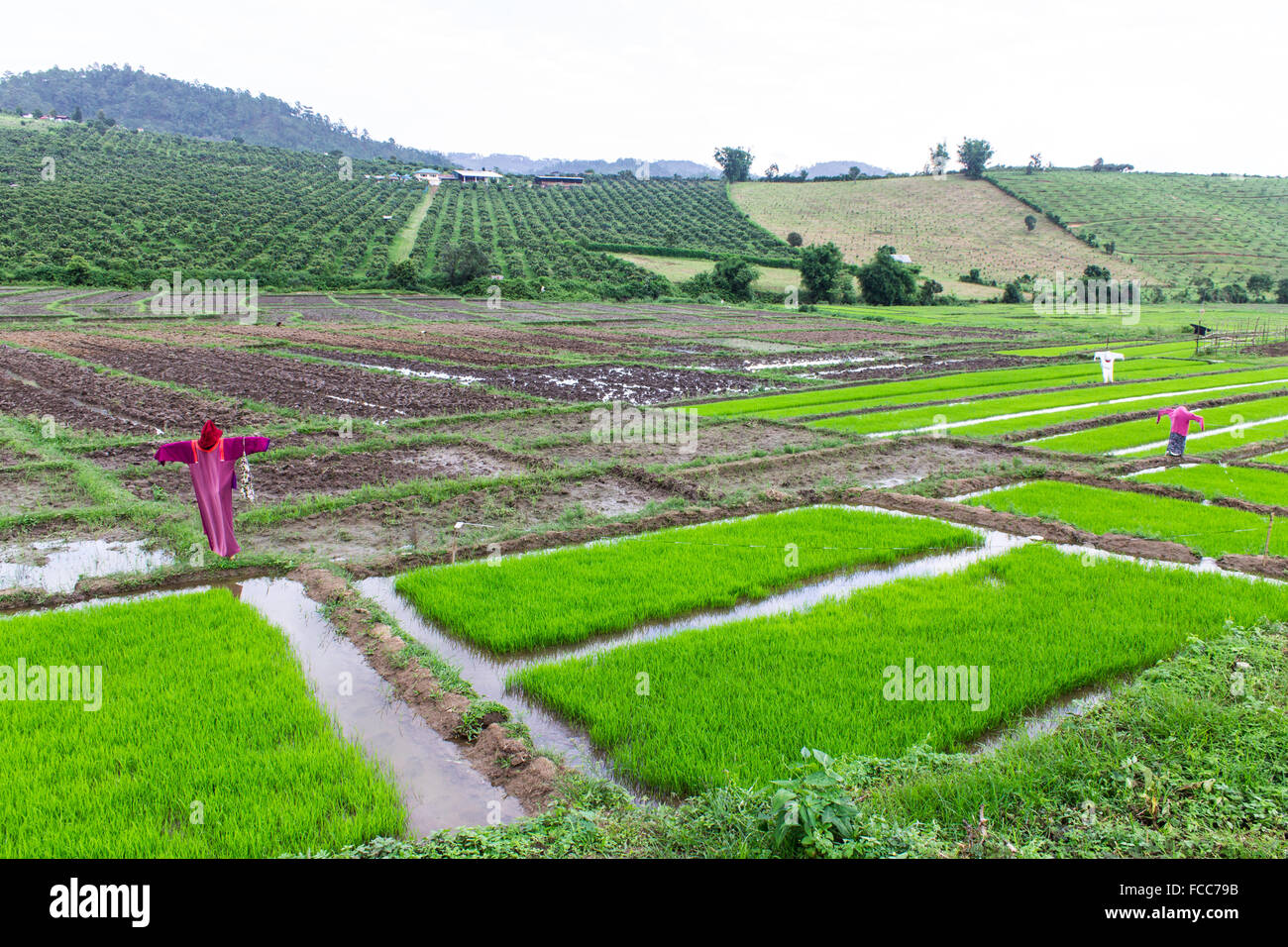 Field jacket hi-res stock photography and images - Alamy