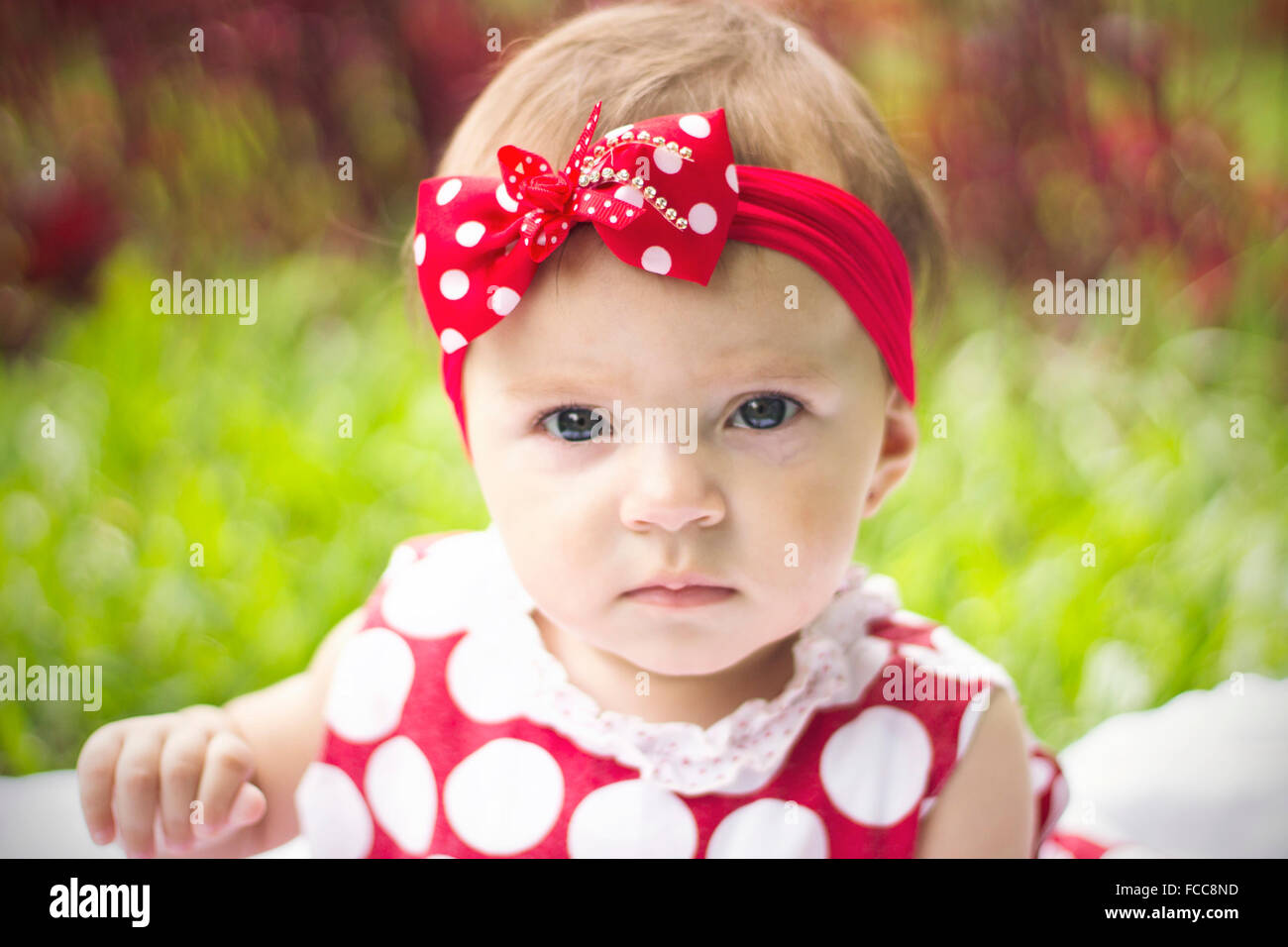 Front Portrait Beautiful Baby Girl Swims Underwater In The Pool Healthy Family Lifestyle And Children Water Sports Activity Child Development Disea Stock Photo Alamy Front Portrait Beautiful Baby Girl Swims Underwater In The Pool Healthy Family Lifestyle And Children Water Sports Activity Child Development Disea Stock Photo Alamy