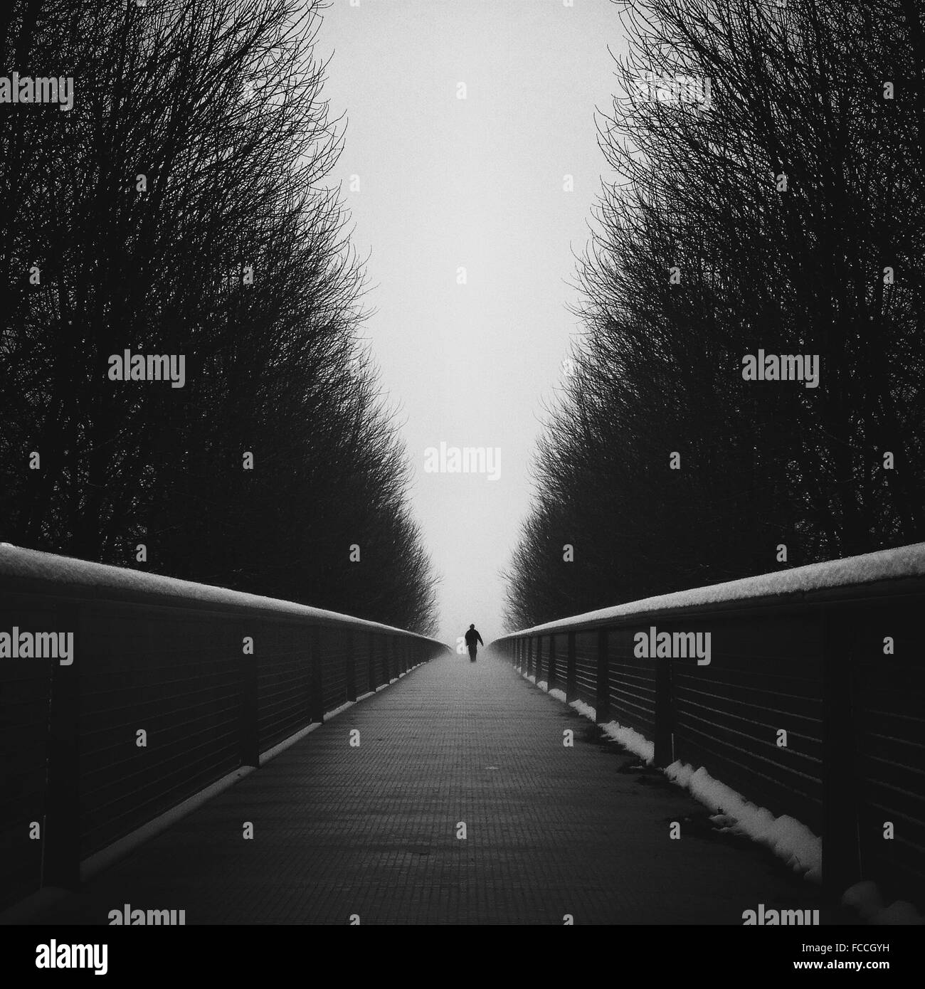 Person Walking On Footbridge Amidst Trees Stock Photo