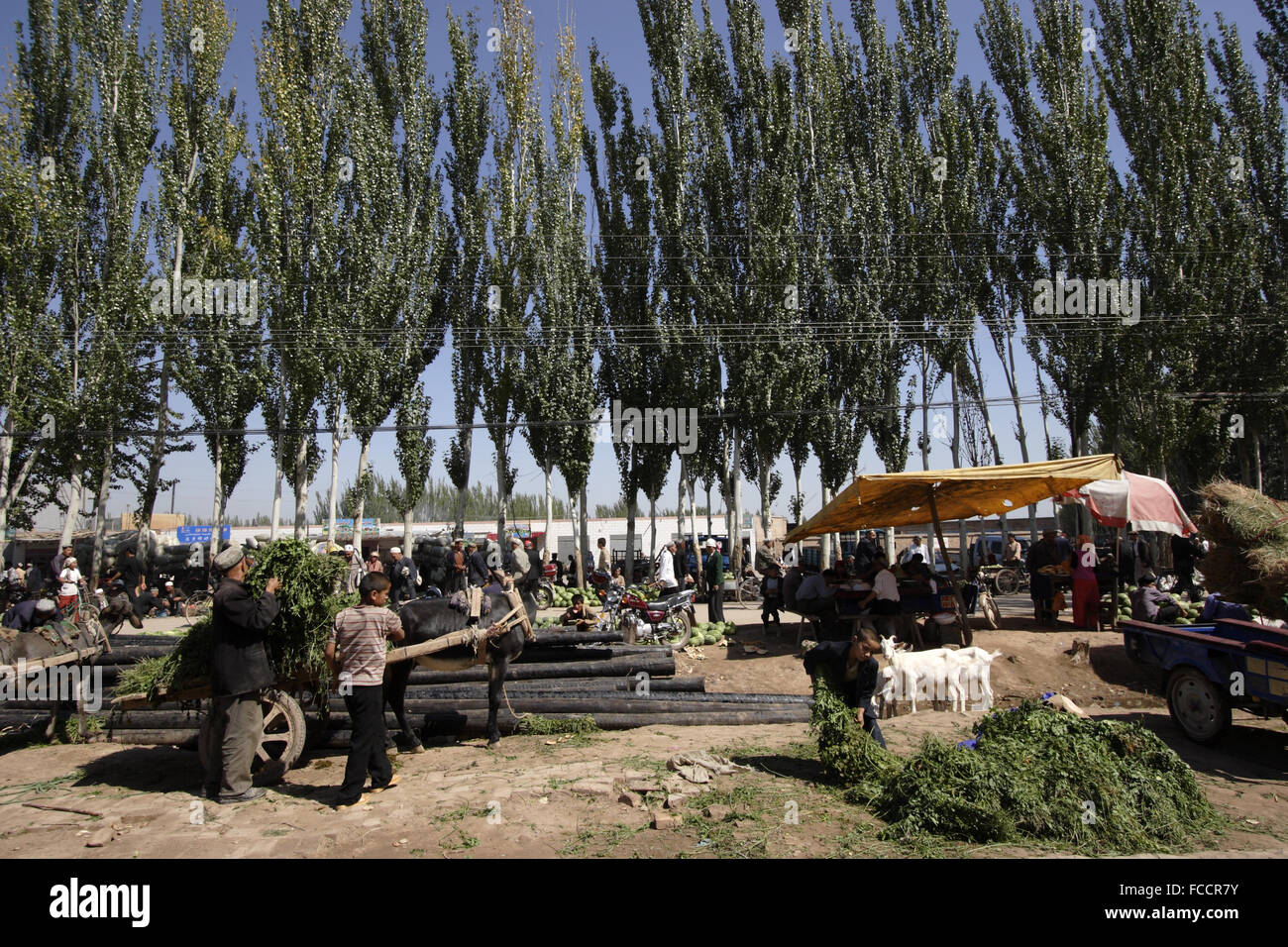 Traditional Sunday Market At Kashgr Xinjiang Province People S