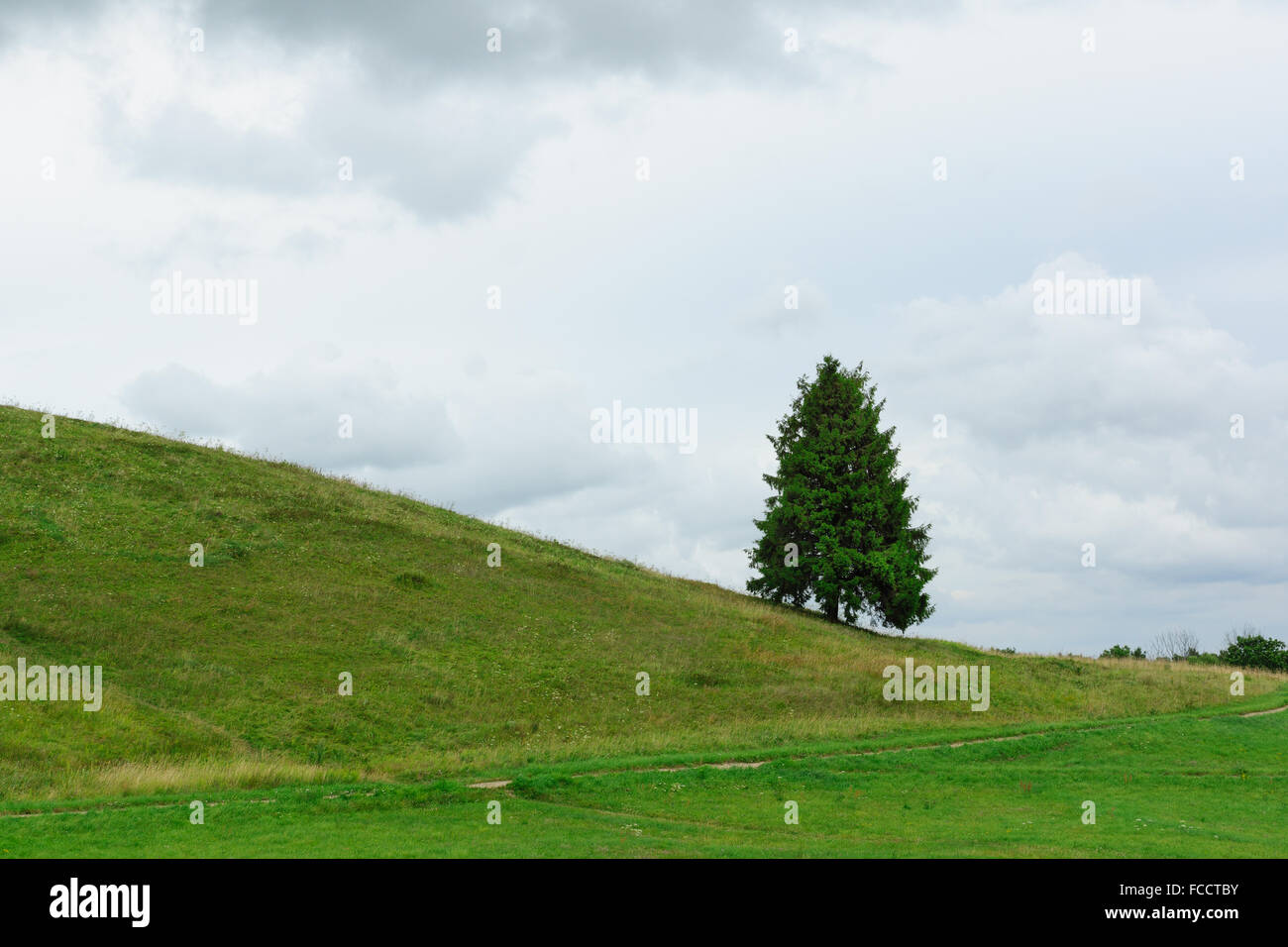 Standing alone tree hi-res stock photography and images - Alamy