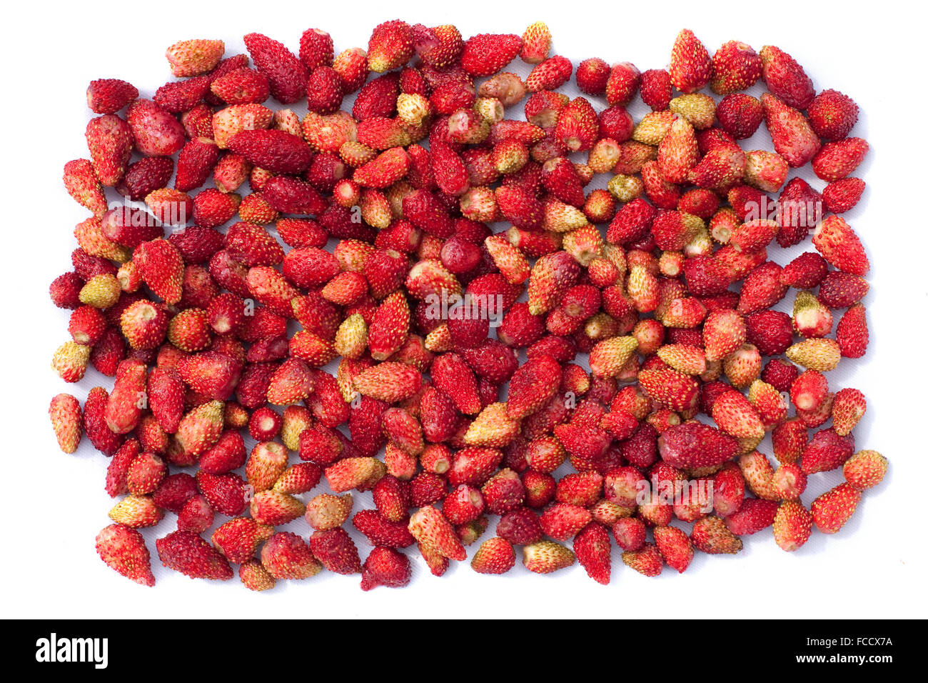 Background, hundreds of ripe strawberries Stock Photo - Alamy