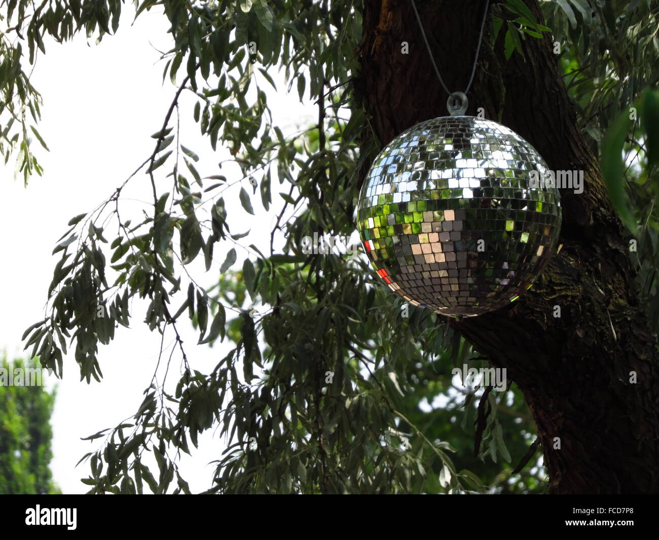 Disco Ball On Tree Stock Photo Alamy