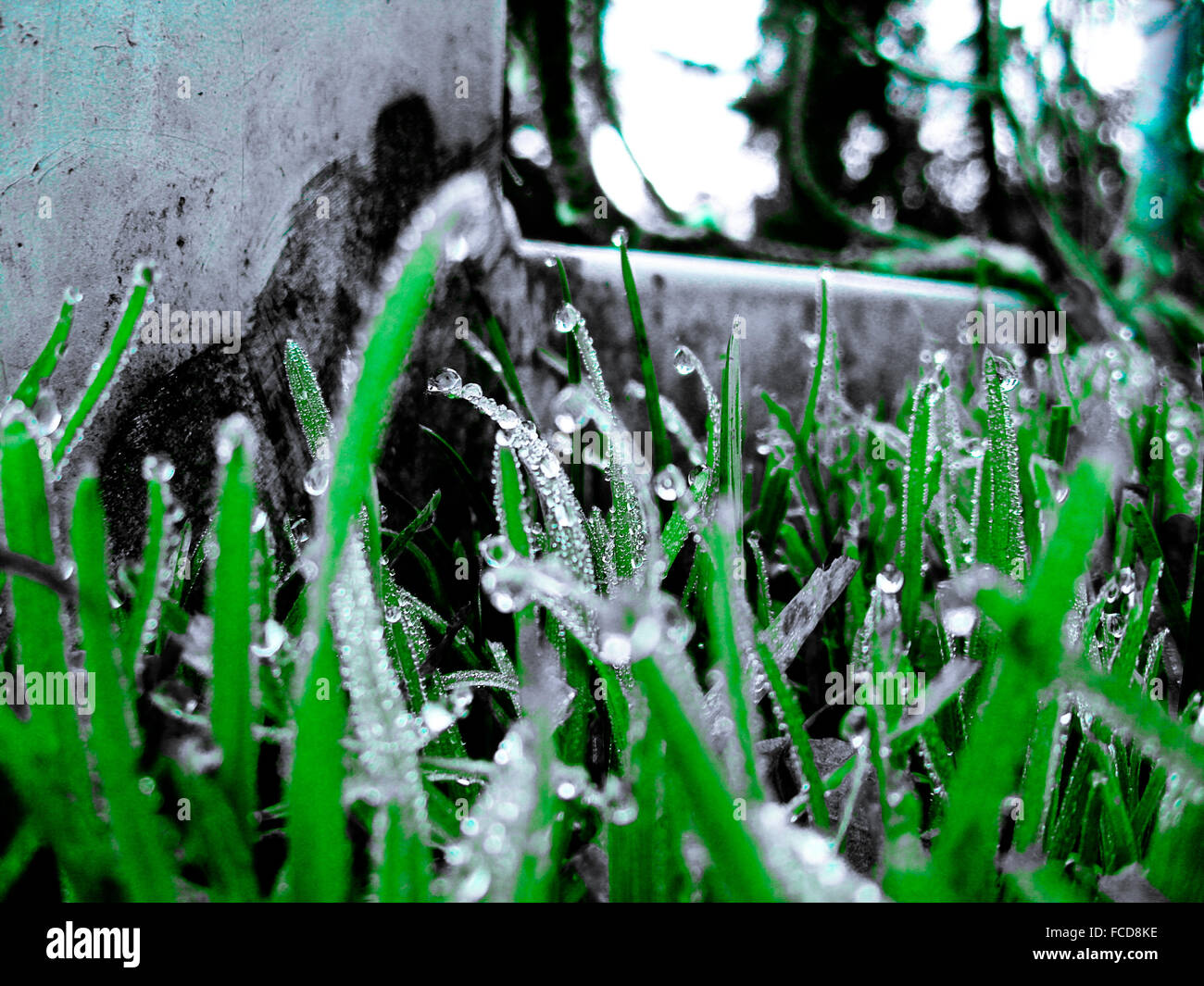 Covering grass hires stock photography and images Alamy