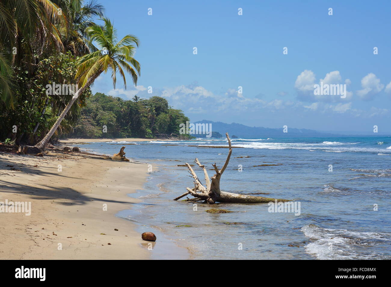 Wild Caribbean coast in Costa Rica, Chiquita beach, Puerto Viejo de Talamanca Stock Photo