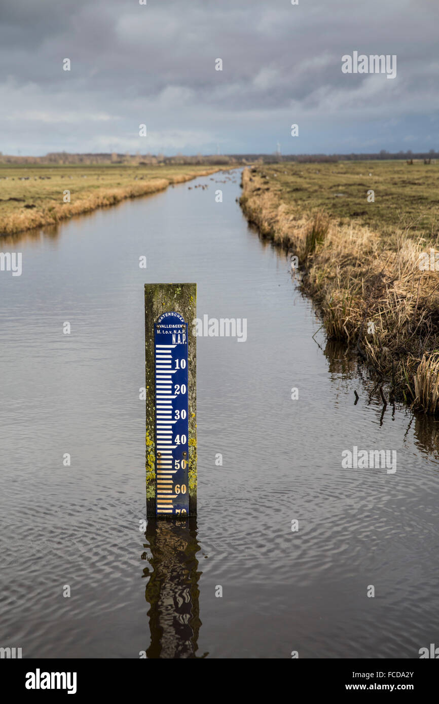 Nieuw amsterdams peil hi-res stock photography and images - Alamy