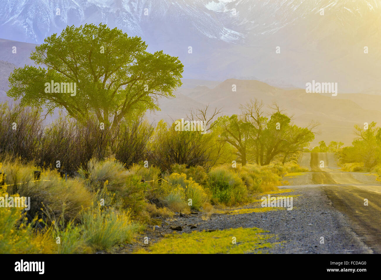Warms Springs Road in Owens Valley, California Stock Photo Alamy