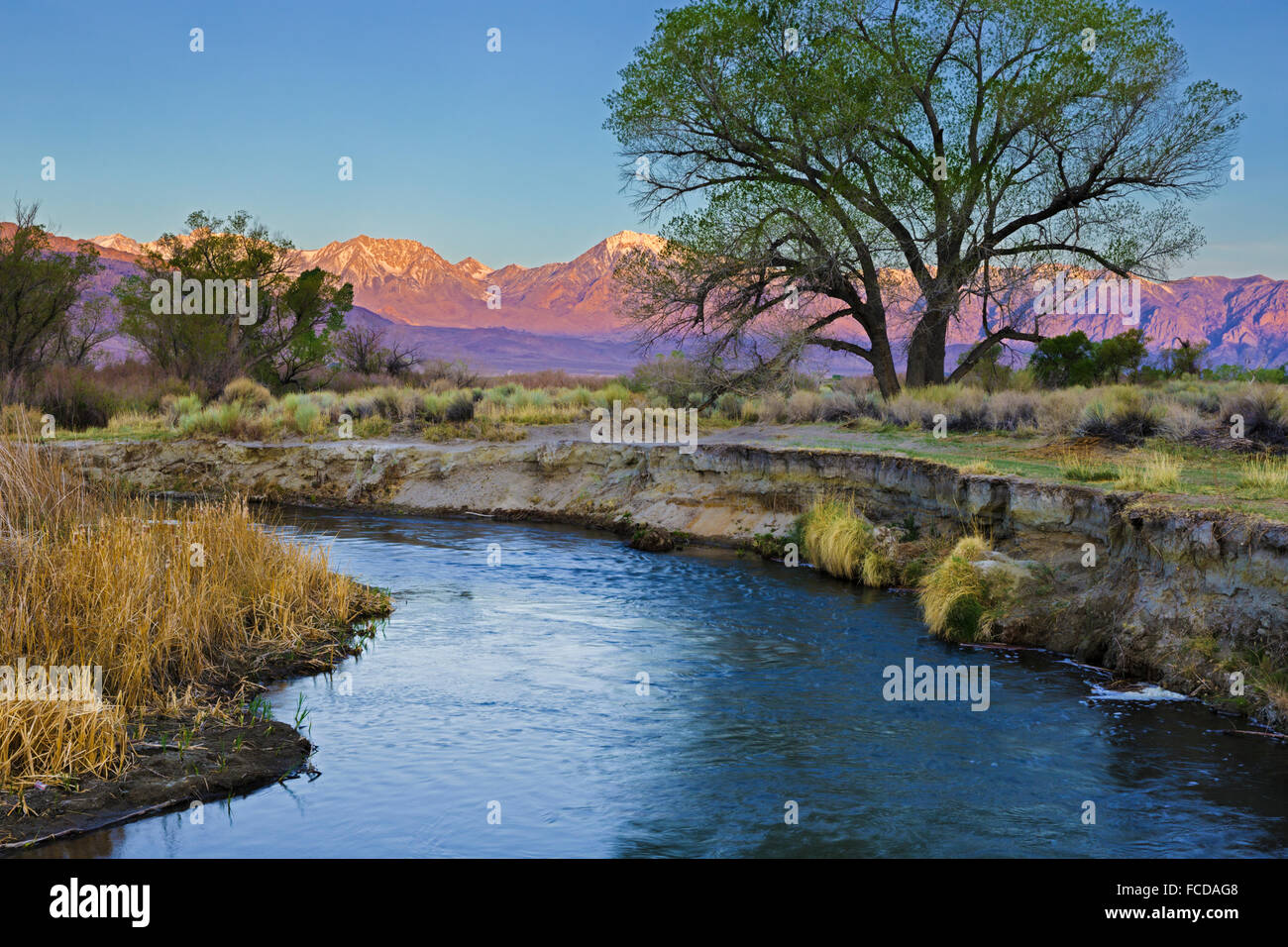 California, USA, Owens Valley Stock Photo - Alamy
