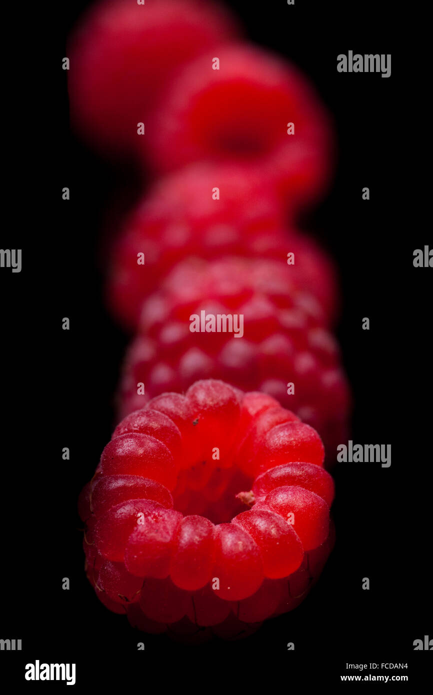 Sparkling Raspberry Close Up Raspberry closeup. Isolated on black Stock Photo - Alamy