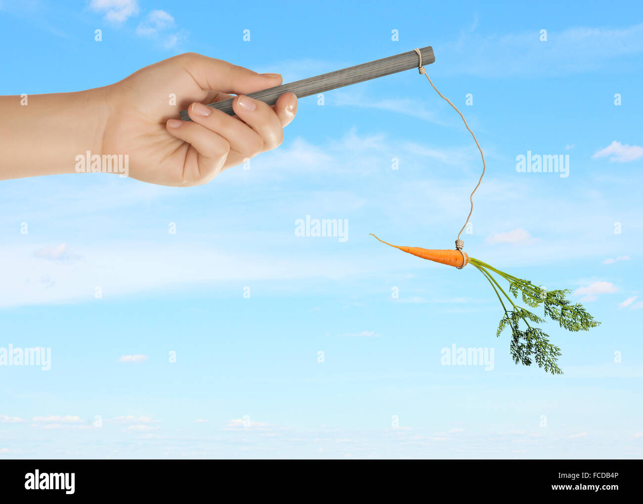 Carrot and stick business hires stock photography and images Alamy