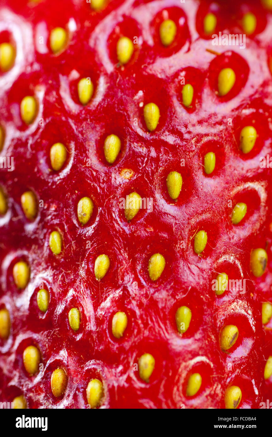 The texture of strawberries Stock Photo - Alamy