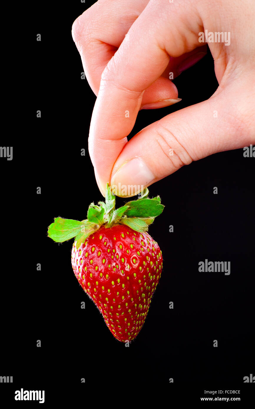 Hand holding a strawberry Stock Photo - Alamy