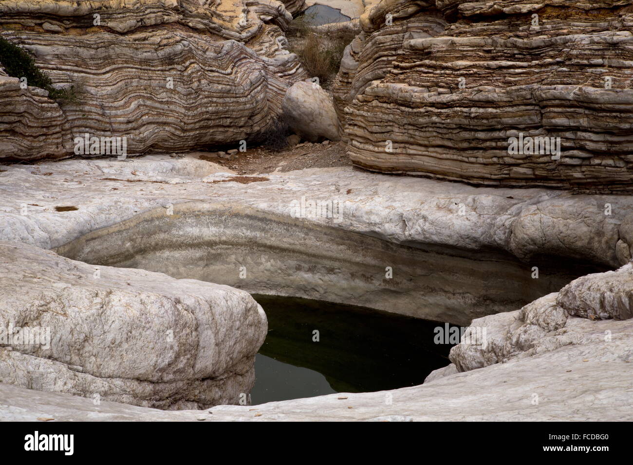 Ernst Tinaja water pools, in Big Bend National Park. Stock Photo