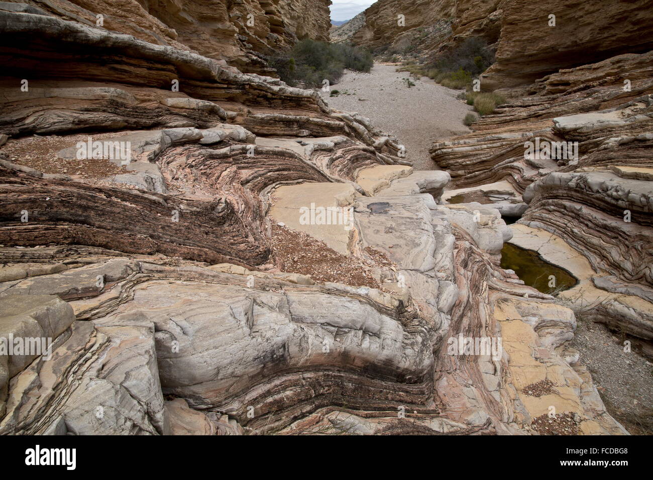 Ernst Tinaja water pools, in Big Bend National Park. Stock Photo