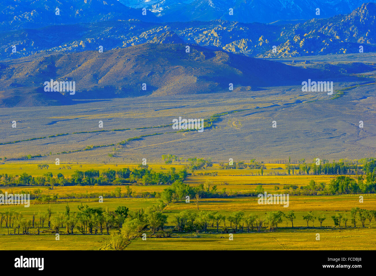 Owens Valley, California Stock Photo Alamy