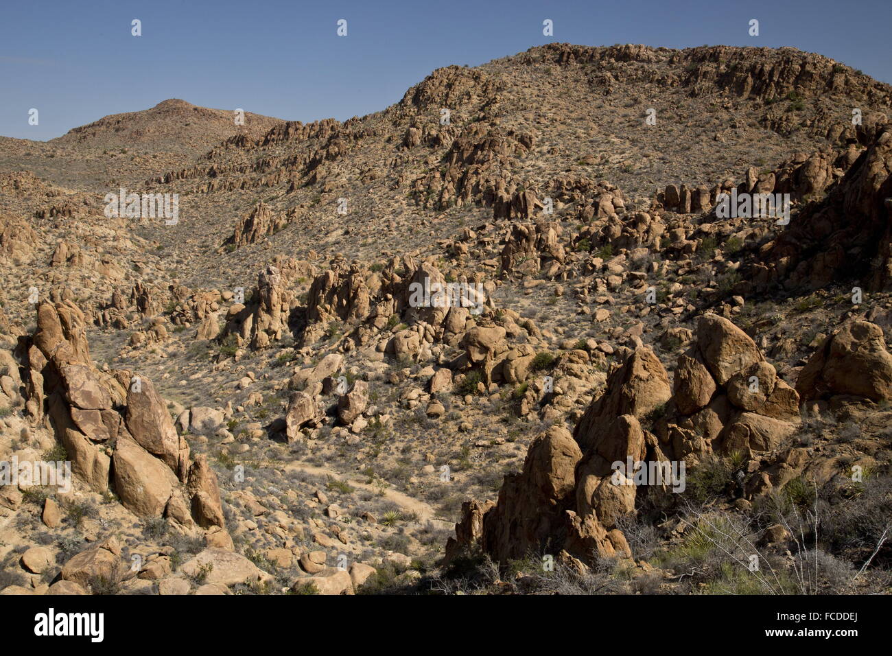 Valley and trail in the Grapevine Hills - Eroded igneous rock - remains of a laccolith;  Big Bend National Park, Texas. Stock Photo