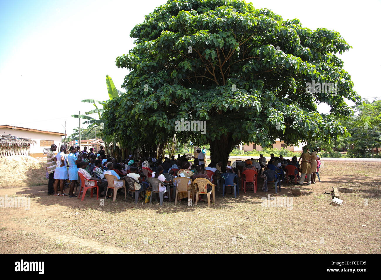 Group Of People Under A Tree Stock Photo Alamy