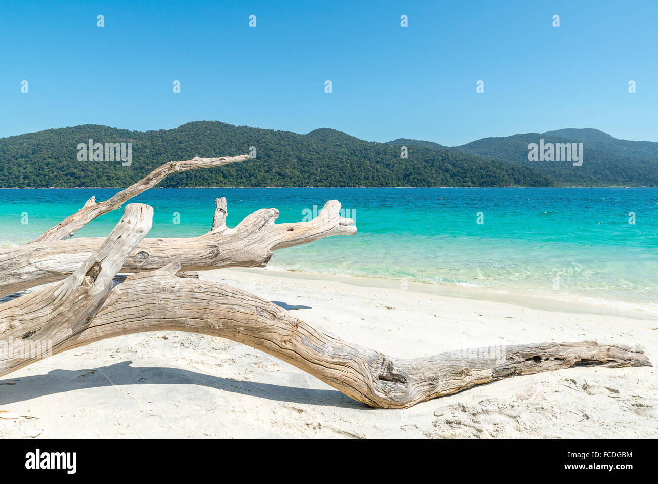Summer, Travel, Vacation and Holiday concept - White wood on the beach near tropical sea in Phuket, Thailand Stock Photo