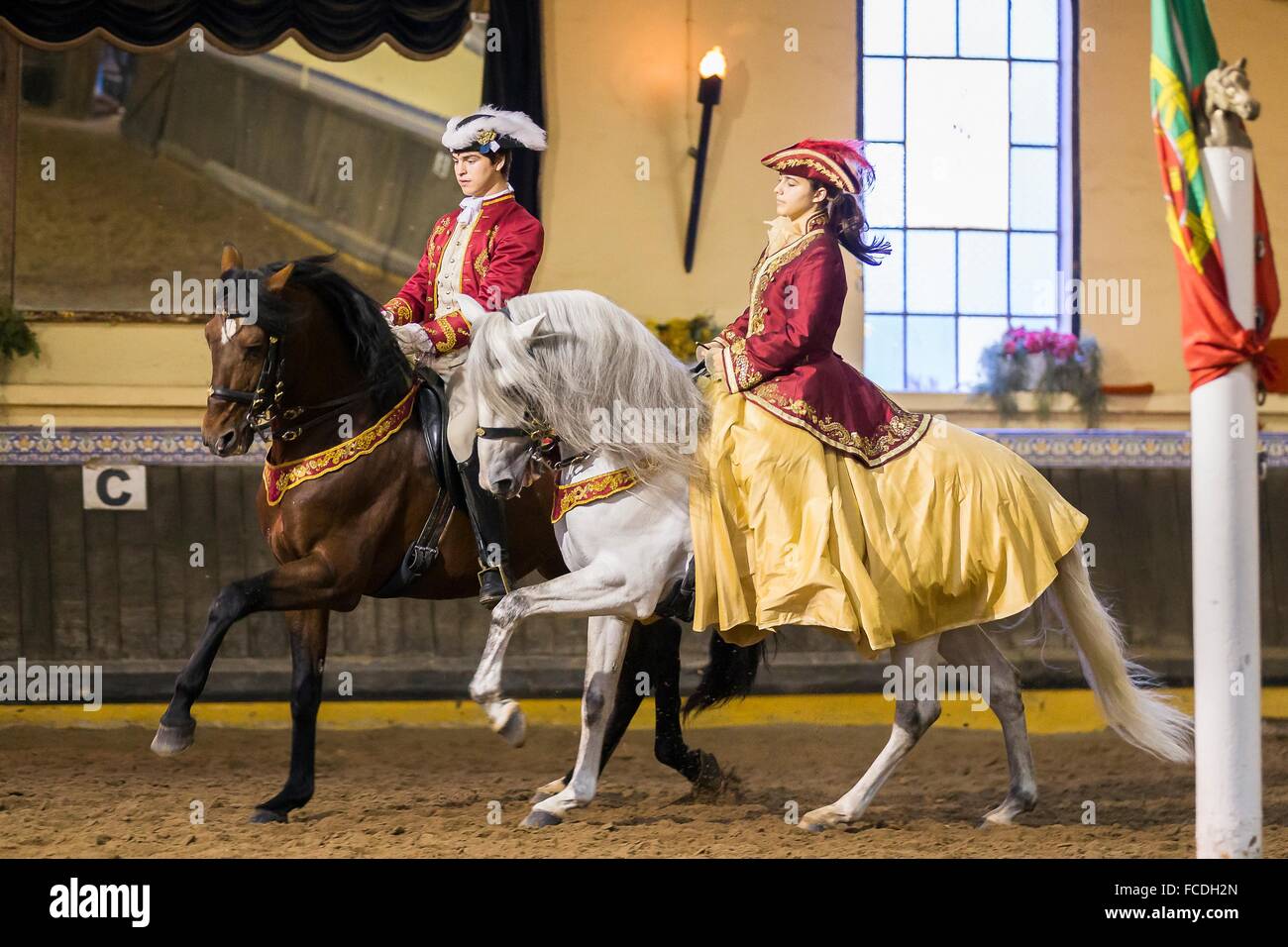 Lusitano. Couple in baroque costumes galloping on a bay and gray