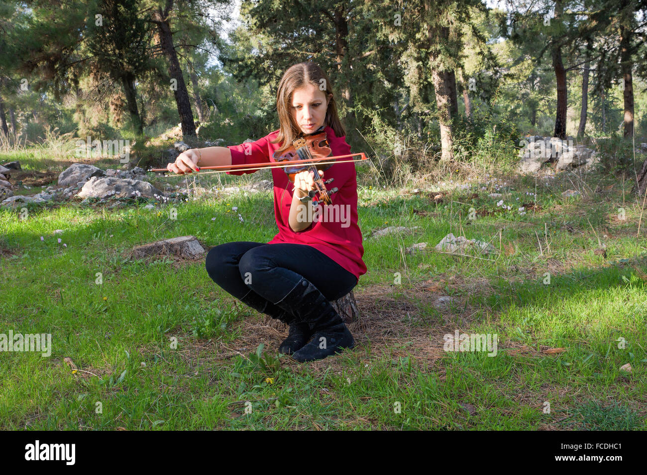 Girl sitting on a stump in the woods playing the violin Stock Photo - Alamy