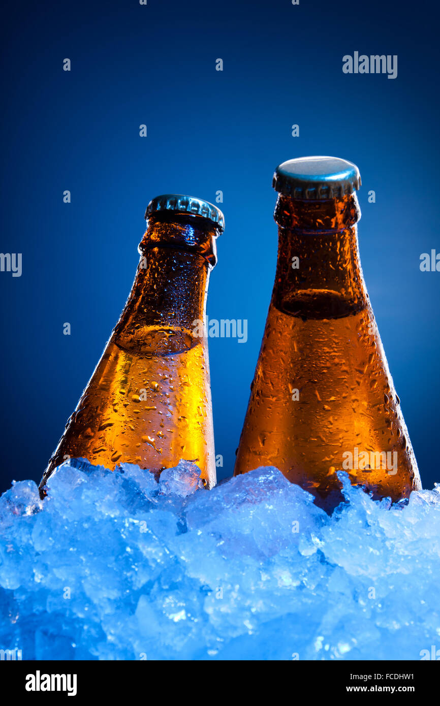 beer bottles for branding Stock Photo Alamy