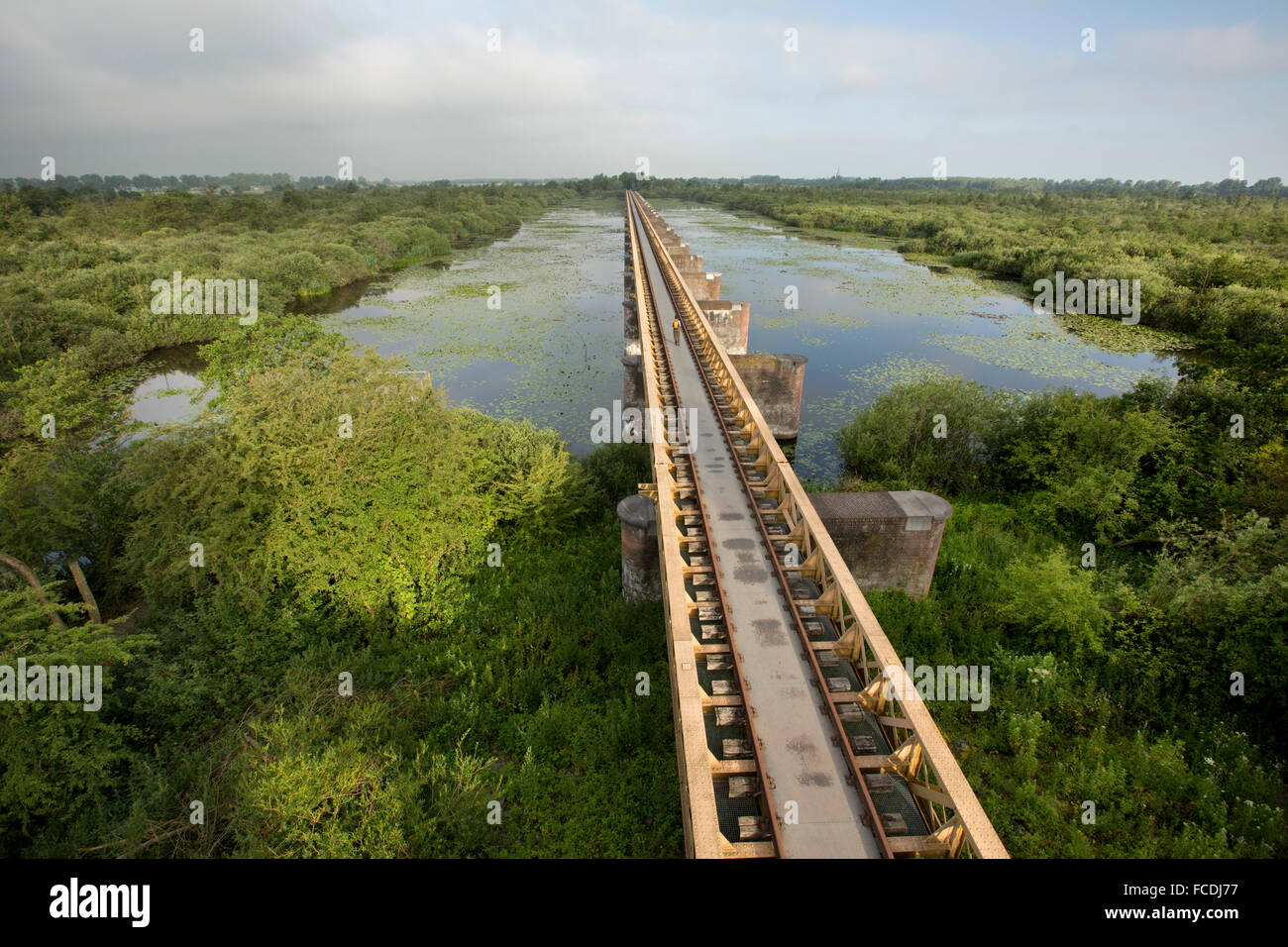 Netherlands, Den Bosch, nature reserve called De Moerputten. Former railway bridge crossing the swamp. Hiker Stock Photo