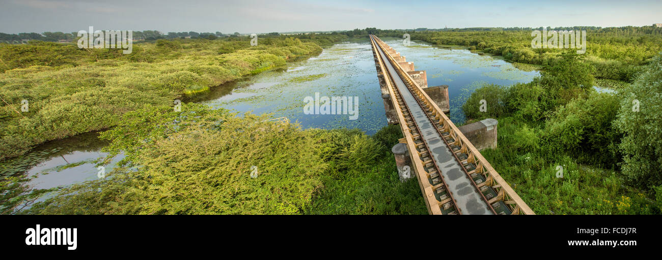 Netherlands, Den Bosch, nature reserve called De Moerputten. Former railway bridge crossing the swamp Stock Photo