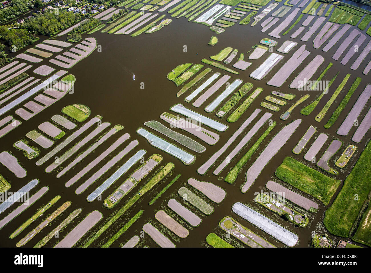 Netherlands, Broek op Langedijk, Area called Oosterdel. Marshland changed  into agricultural land. Now about 200 left. Aerial Stock Photo - Alamy