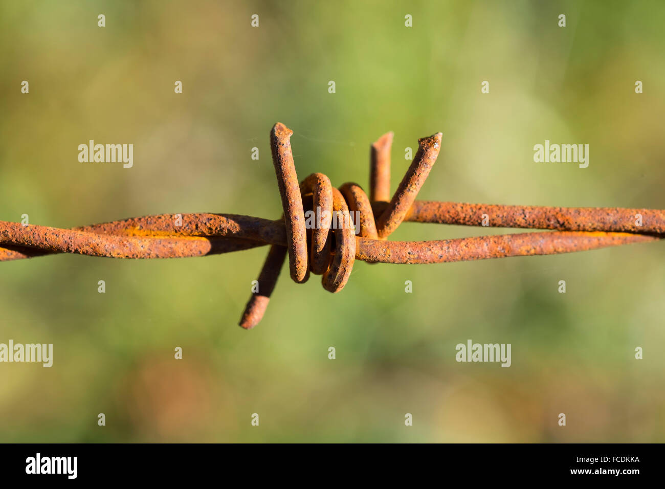 Rusty barbed wire fence Stock Photo