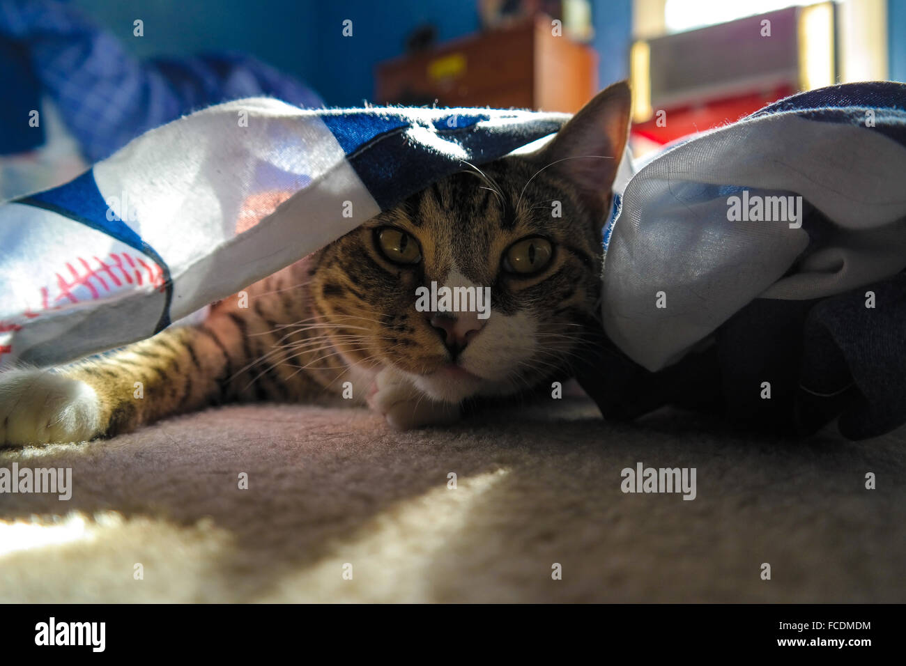 Underneath part hires stock photography and images Alamy