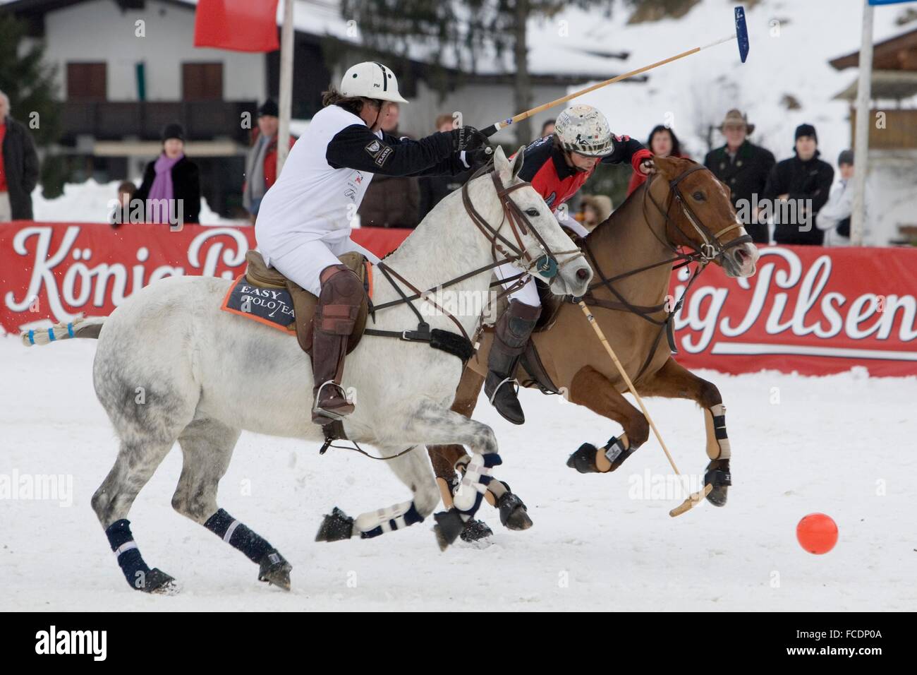 Polo Pony. Polo match in winter. Austria Stock Photo