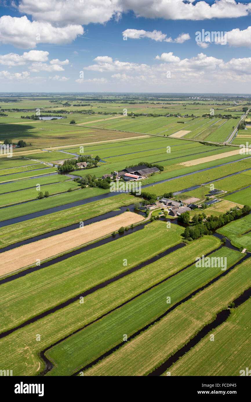 Netherlands, Kamerik, Farms in polder. Aerial Stock Photo