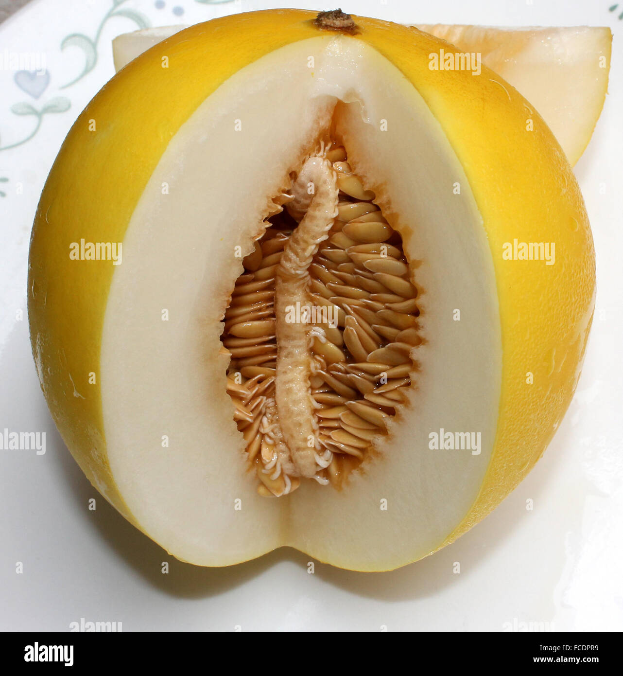 Cucumis melo var inodorus, Golden King melon, golden yellow fruit with smooth skin and white crisp very sweet flesh, Stock Photo