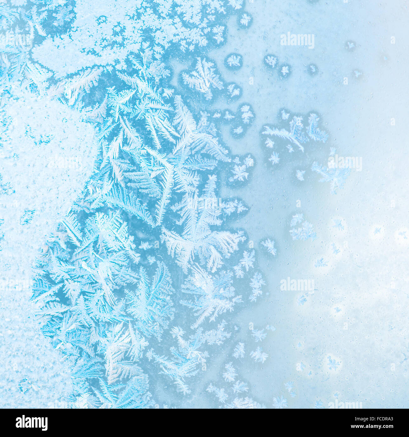 abstract winter ice texture on window, festive background, close up Stock Photo