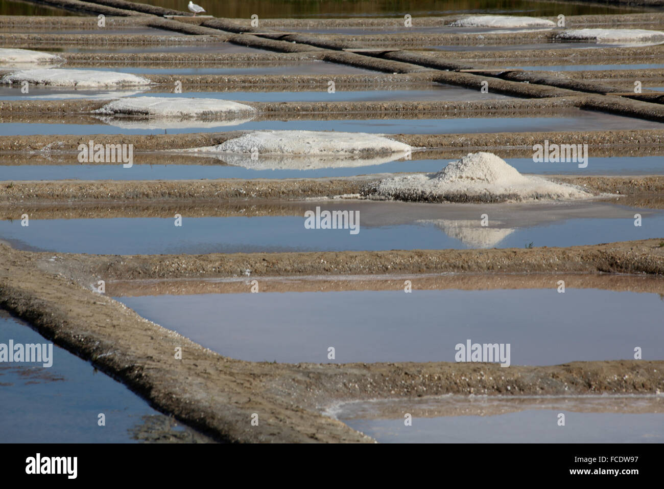 Surface Level Of Salt Pan Stock Photo