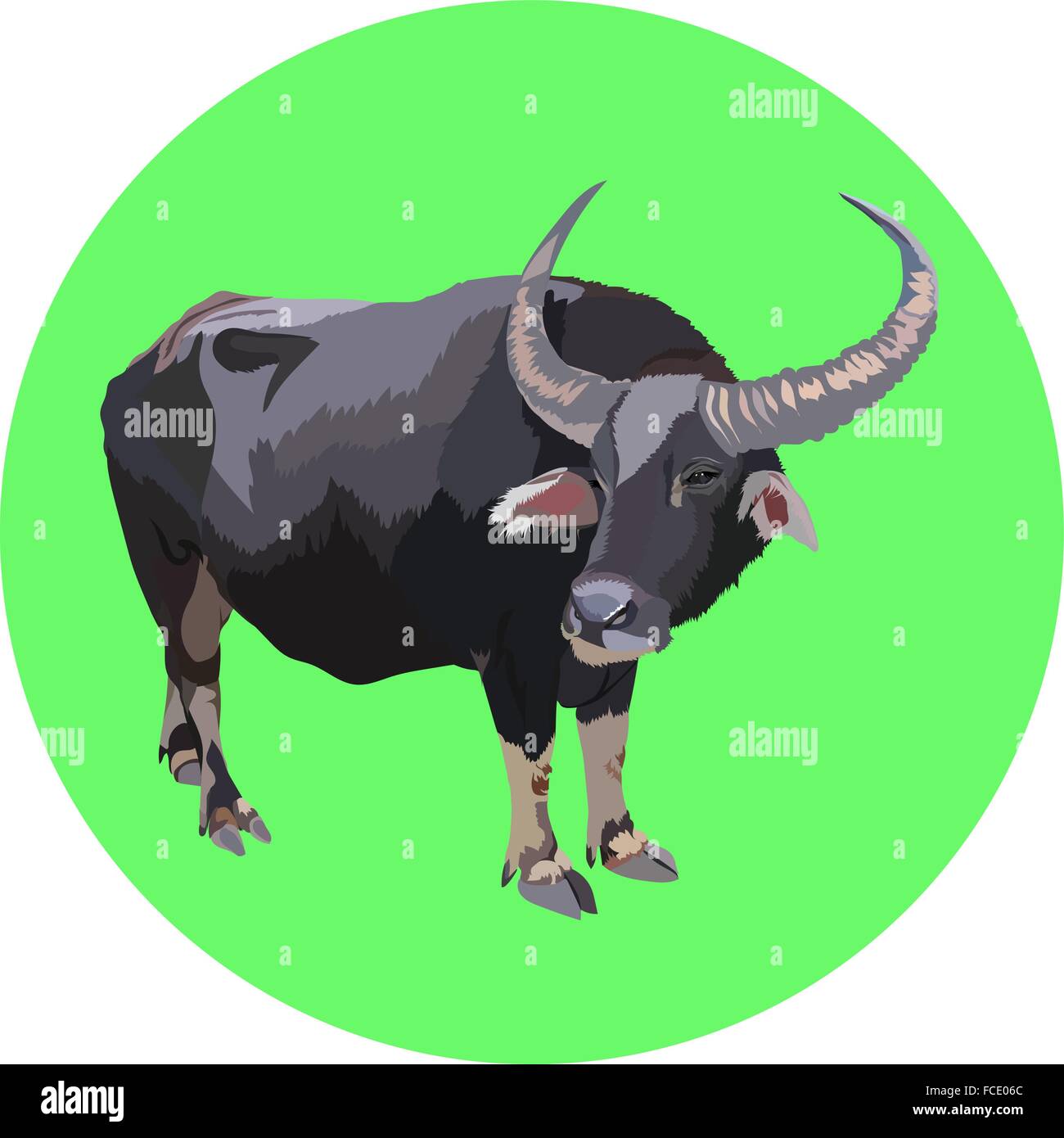vector buffalo on the green background Stock Vector Image & Art - Alamy