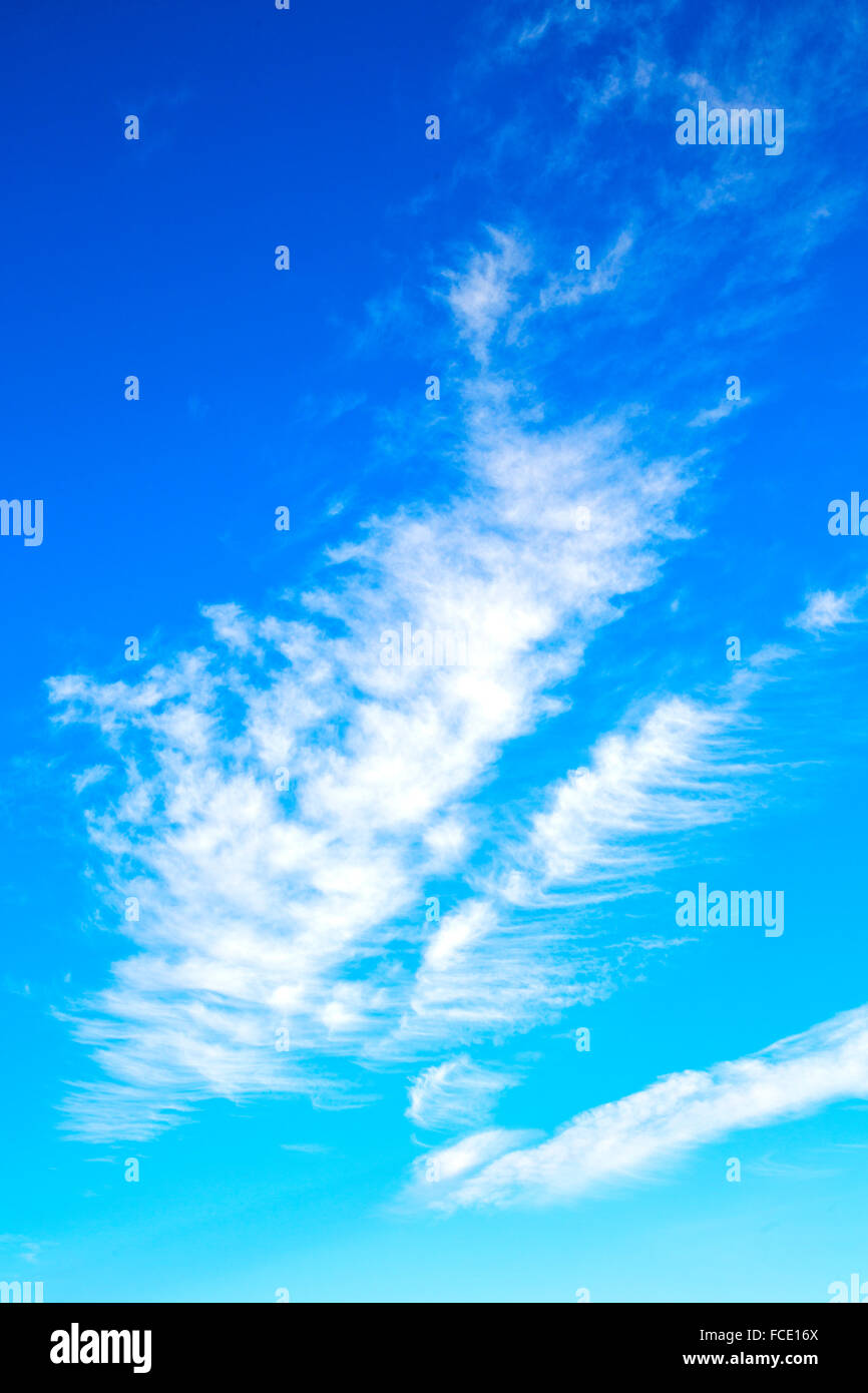 in the blue sky white soft clouds and abstract background Stock Photo ...
