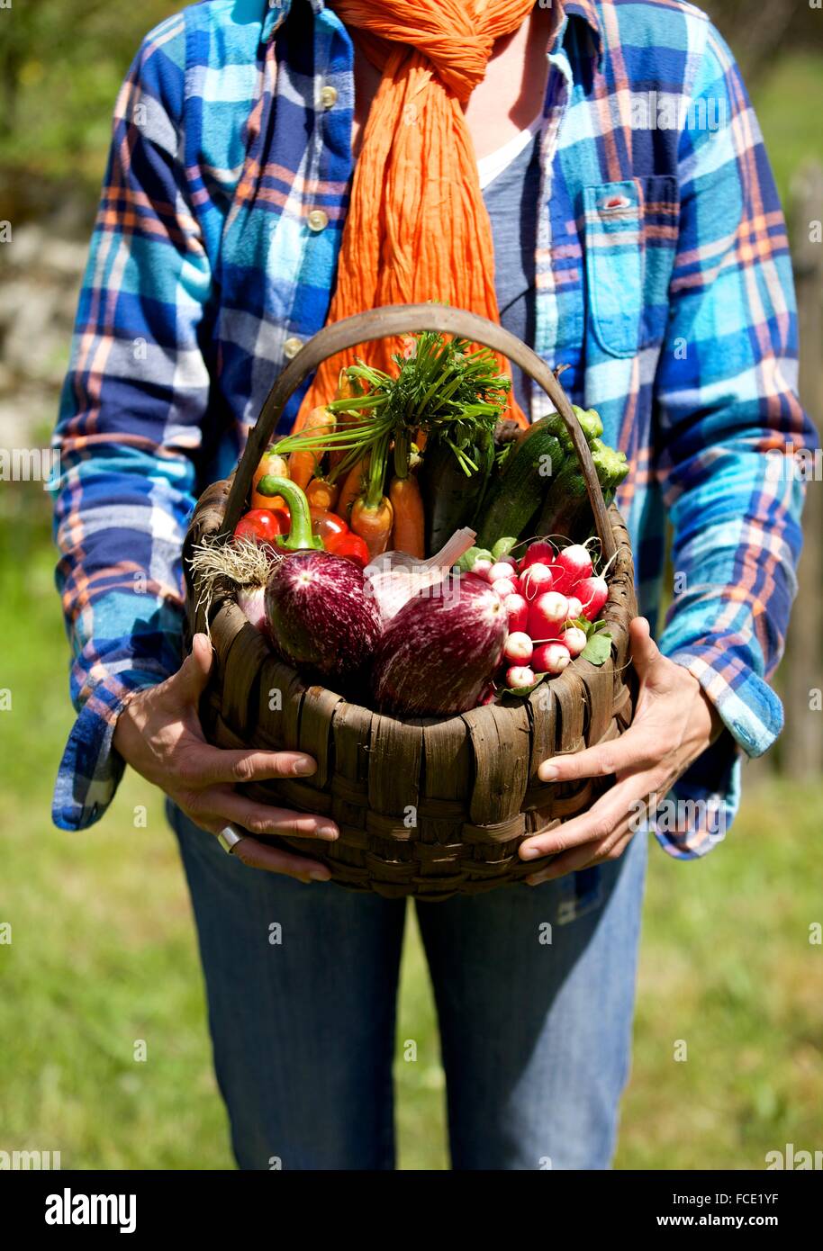 Vegetables basket garden hi-res stock photography and images - Alamy