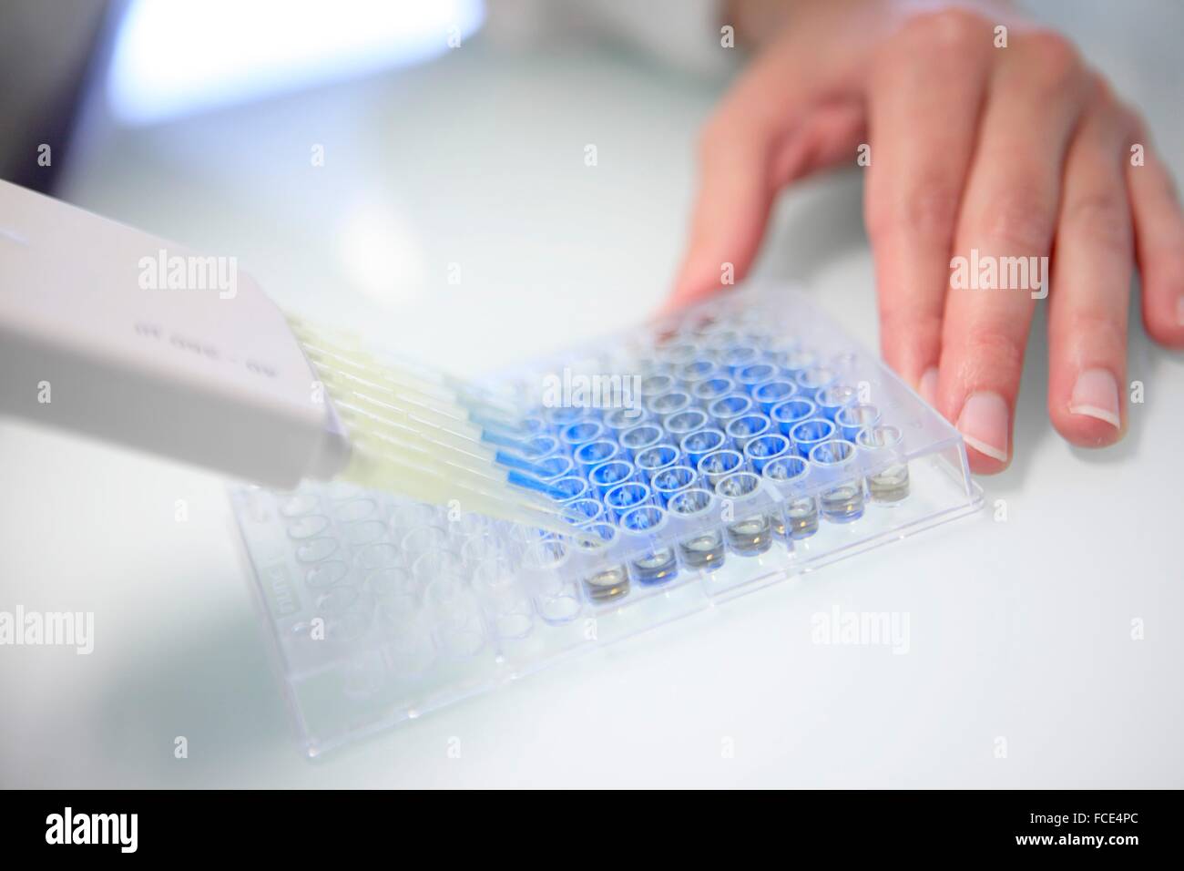 France, biological tests Stock Photo Alamy
