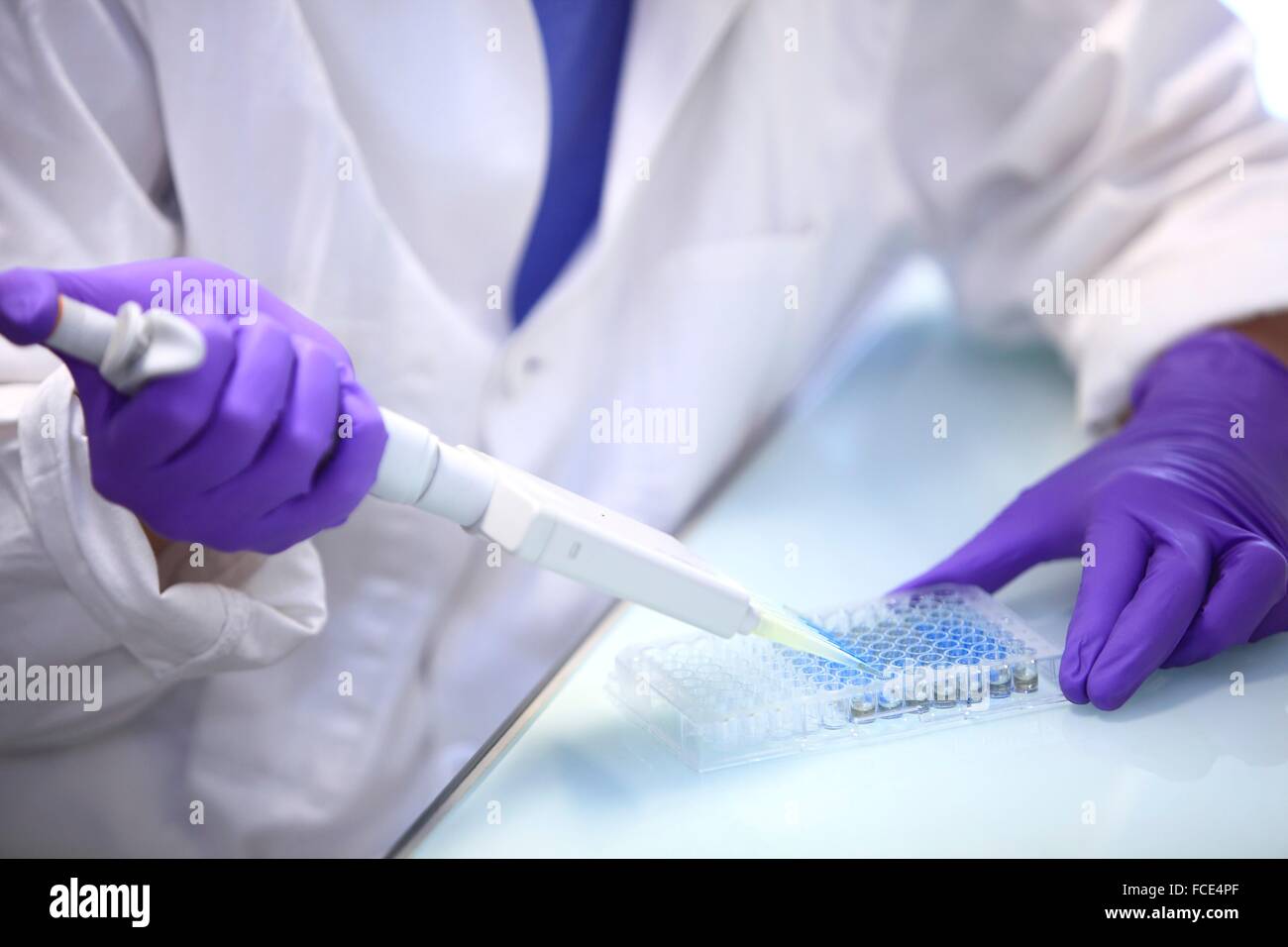 France, biological tests Stock Photo Alamy