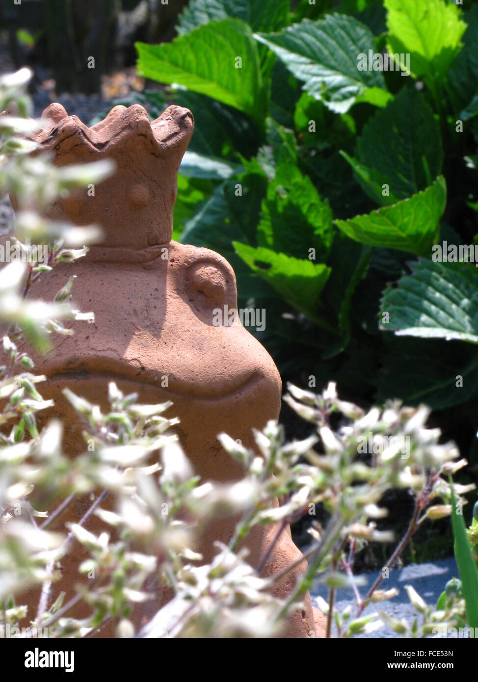 Featured image of post Clay Animals Frog - You may have decided the type of the animal you are going to look at my franklin the frog expression :) the frog figures are modification of those in maureen carlson&#039;s.