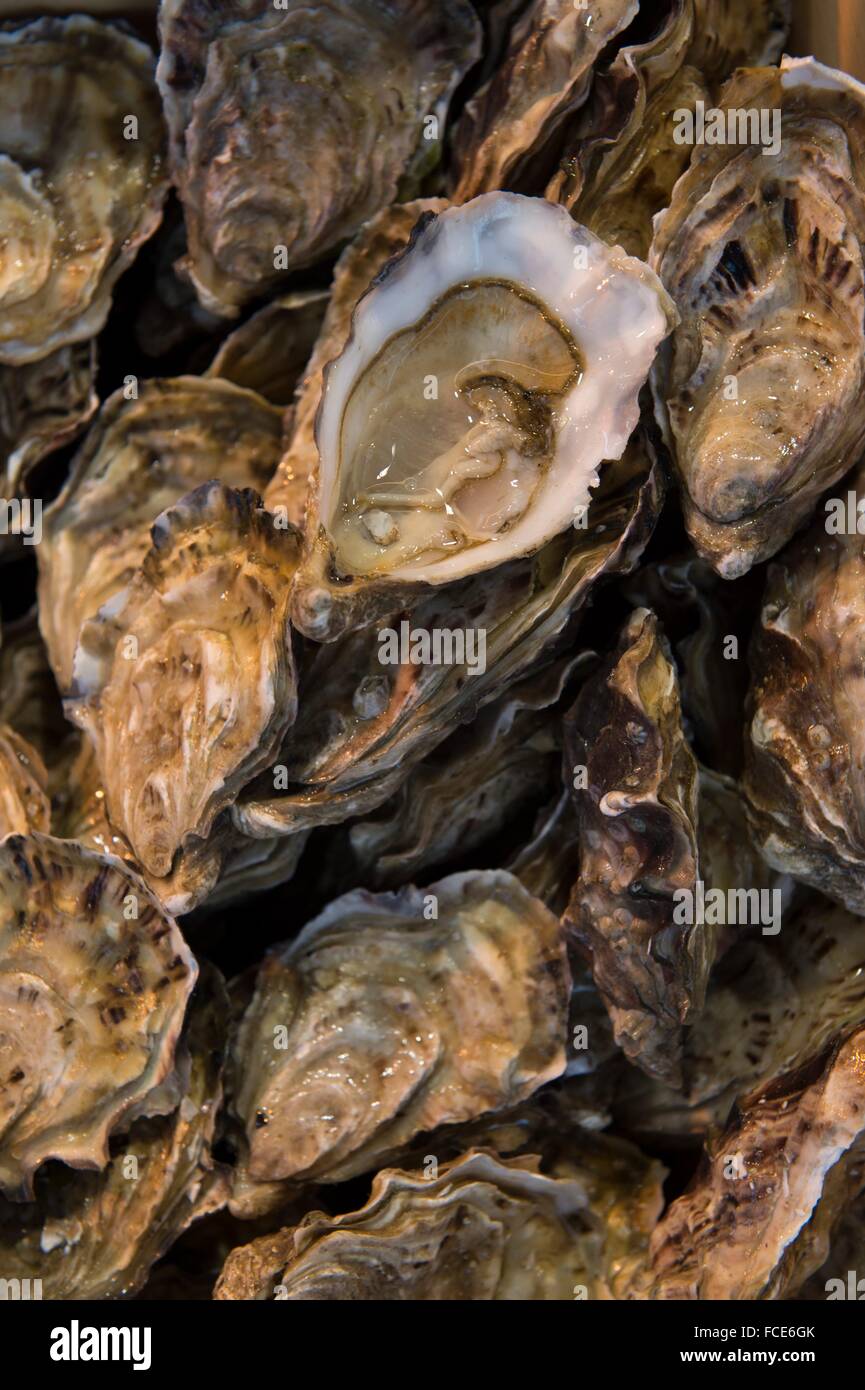 France, Normandy, oysters on a fish market Stock Photo Alamy