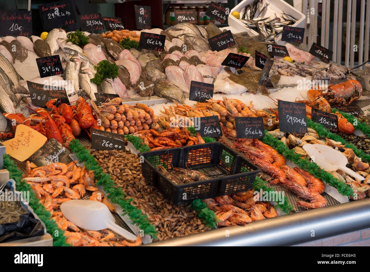 France, Normandy, fresh fishes and seefood displayed on a fish market